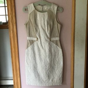 Calvin Klein Dress